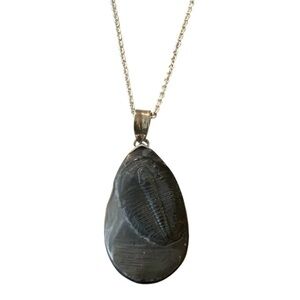 Trilobite Pendant Necklace w/ 925 Silver Sterling Setting, Black Fossil Pendant